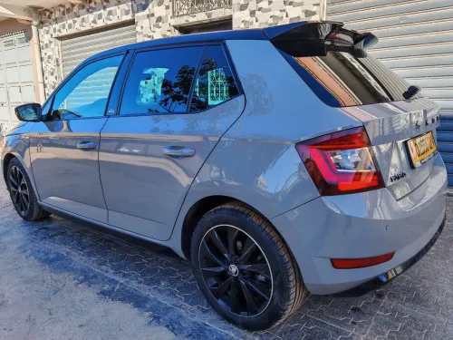 Skoda Fabia 2021 Monte Carlo