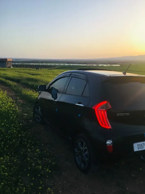 Kia Picanto 2014 Robo