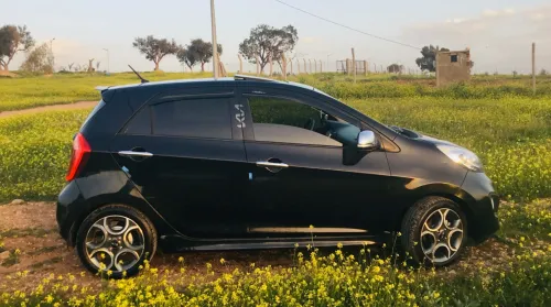 Kia Picanto 2014 Robo
