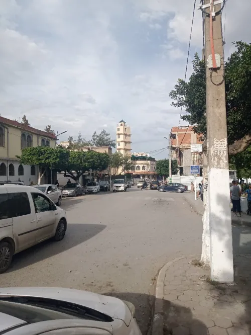 Vente Terrain Alger Douera