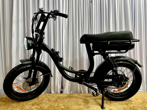 Vélo Électrique ( Fatbike ) EB8 Pro 2025