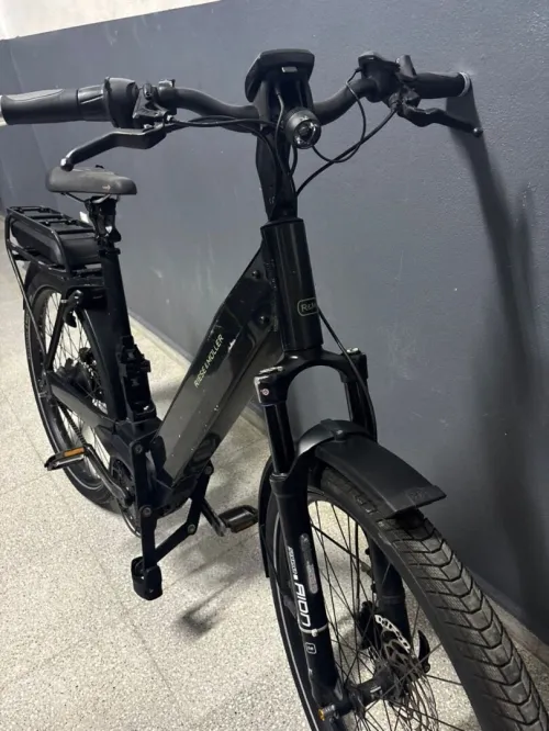Vélo électrique riese and muler bosch double batterie