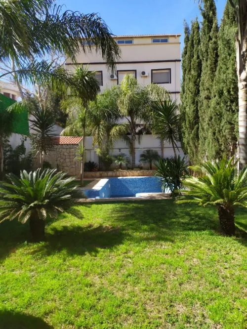 Vente Terrain Alger Cheraga