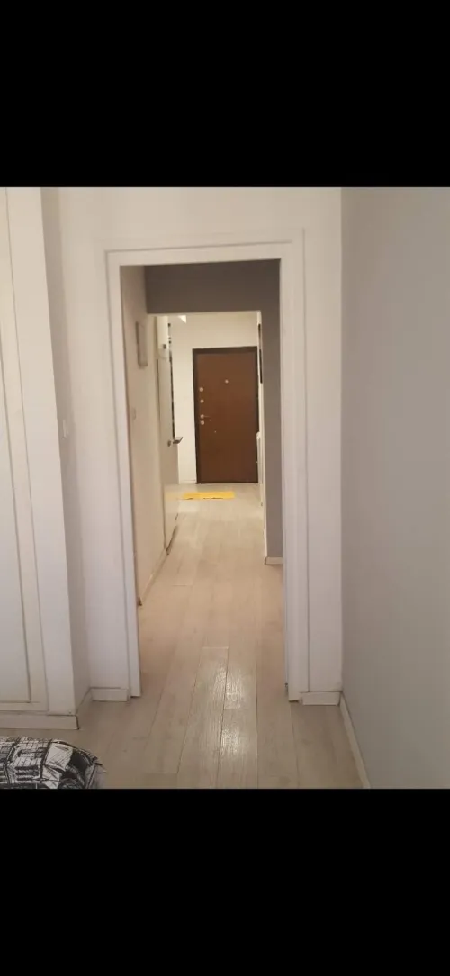 Cherche location Appartement F2 Alger Dely brahim