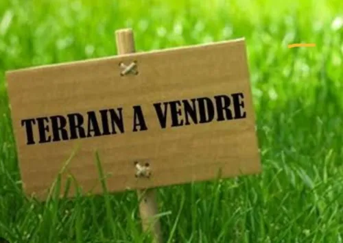 Vente Terrain Alger Cheraga