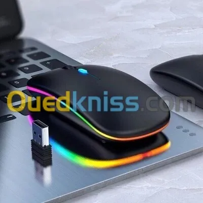 Souris SF HP rechargeable W10 