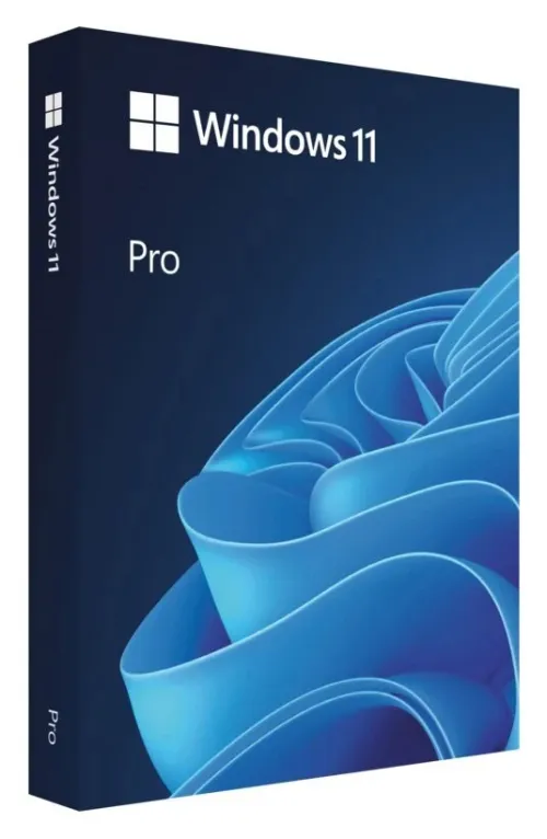 clé logicielle windows 11 / 10 office pro plus / Professional plus créative cloud entreprise .ect