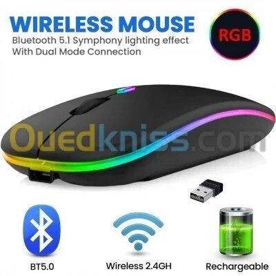Souris SF HP rechargeable W10 