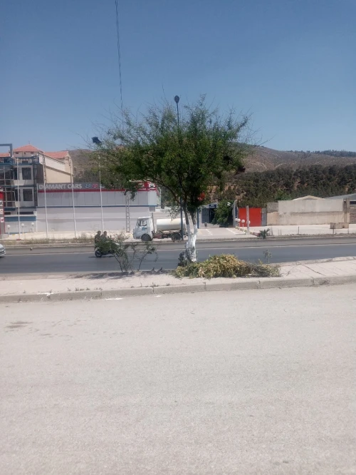 Vente Terrain Batna Batna