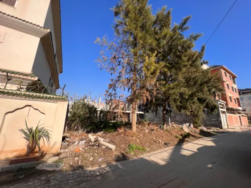 Vente Terrain Alger Dely brahim