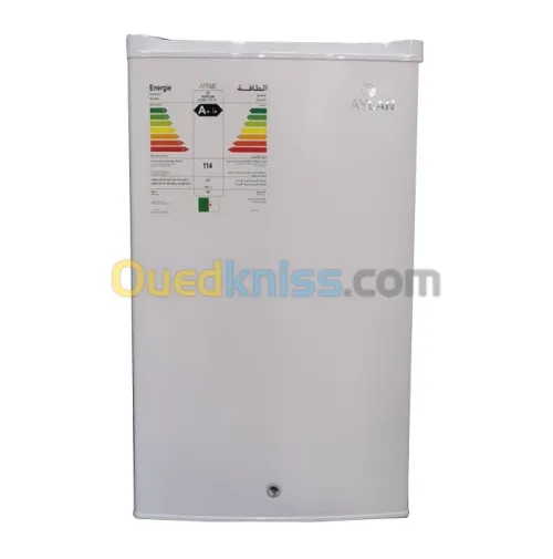 Réfrigérateur RAYLAN Maxibar 160l 