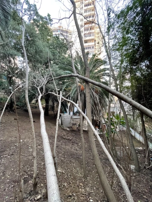 Vente Terrain Alger Alger centre