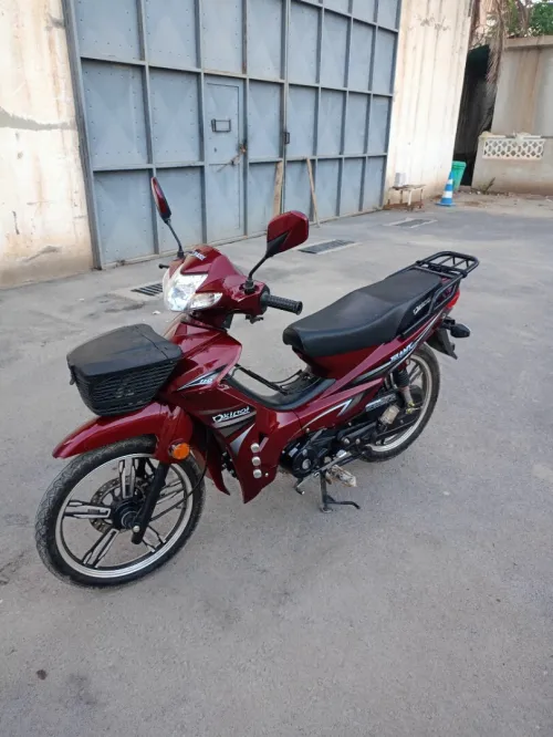 Okinoi Geant 2025