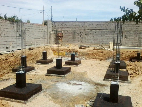 Vente Terrain Agricole Laghouat Laghouat