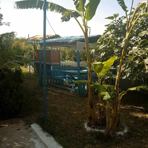 Vente Villa Laghouat Laghouat