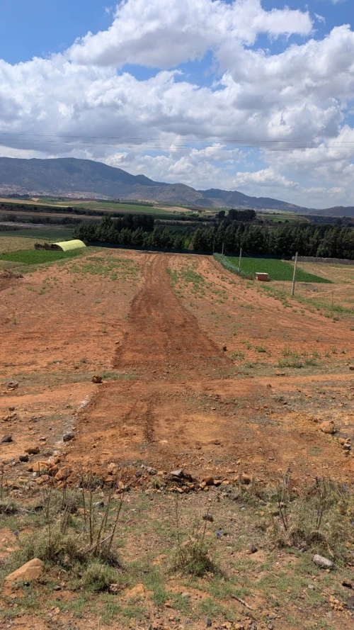 Vente Terrain Aïn Defla Mekhatria