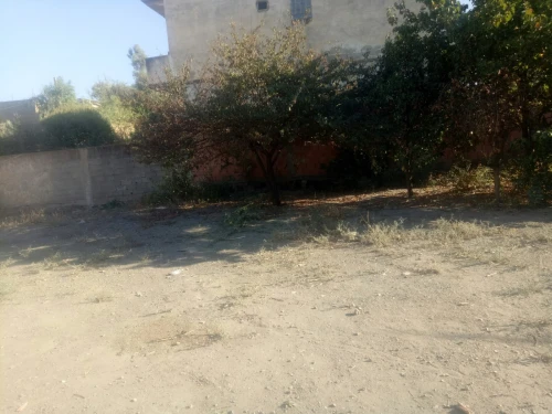 Vente Terrain Blida Bougara