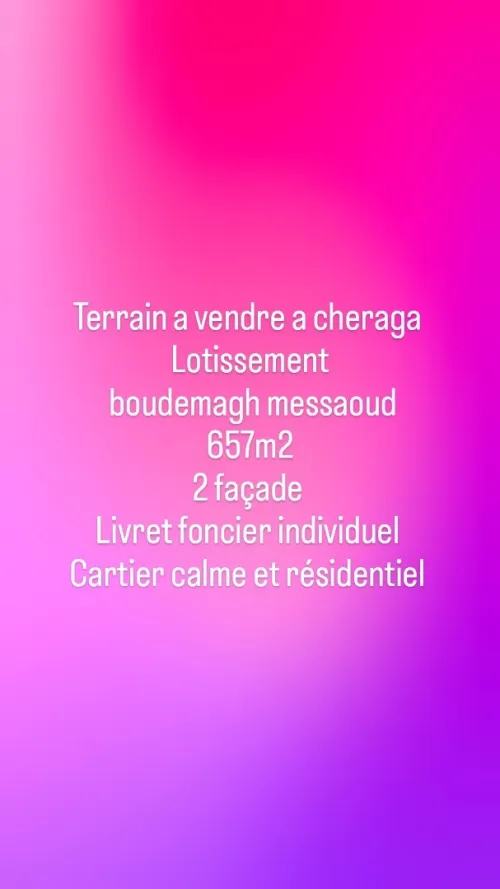 Vente Terrain Alger Cheraga