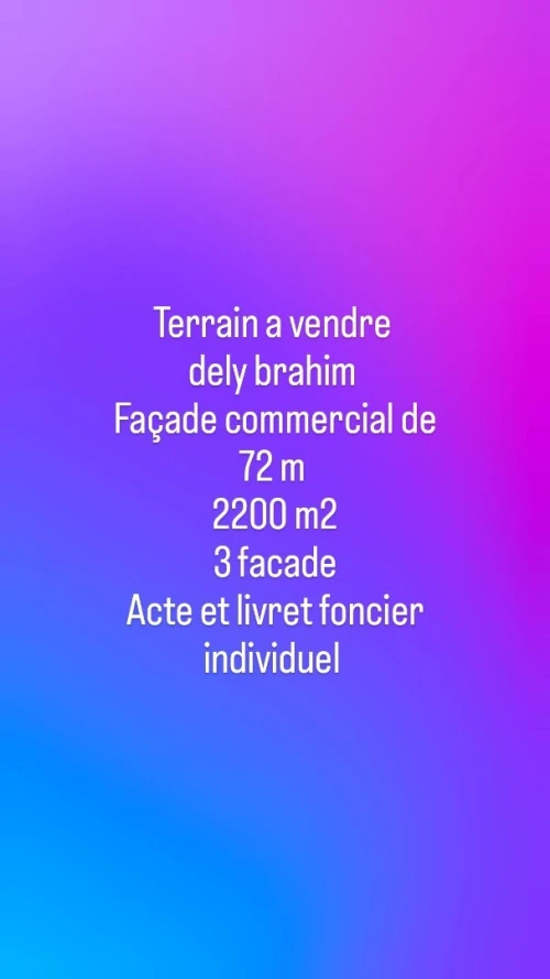 Vente Terrain Alger Dely brahim
