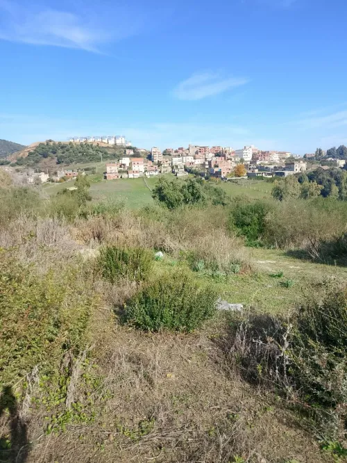 Vente Terrain Skikda Collo