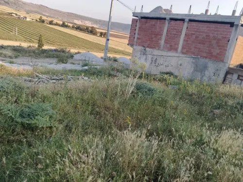 Vente Terrain Constantine El haria