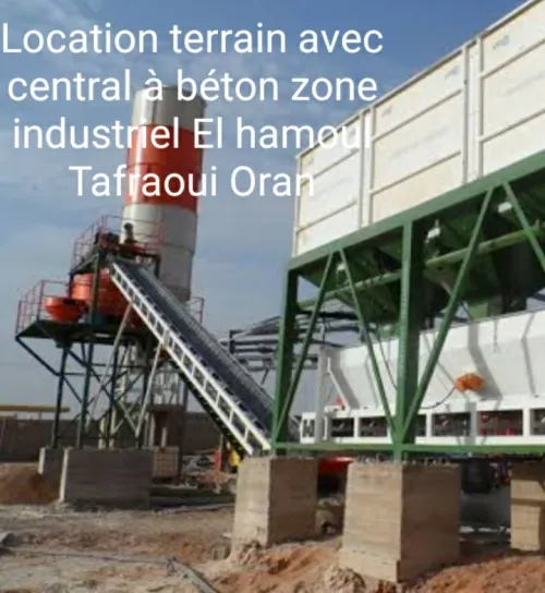 Location Terrain Oran Tafraoui