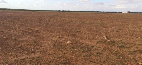 Vente Terrain Agricole Djelfa Ain oussara