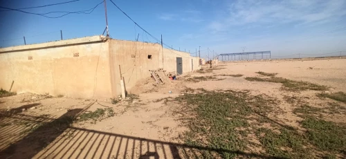 Vente Terrain Agricole Djelfa Ain oussara