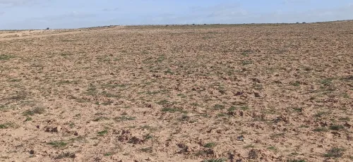 Vente Terrain Agricole Djelfa Ain oussara