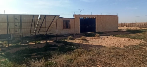 Vente Terrain Agricole Djelfa Ain oussara