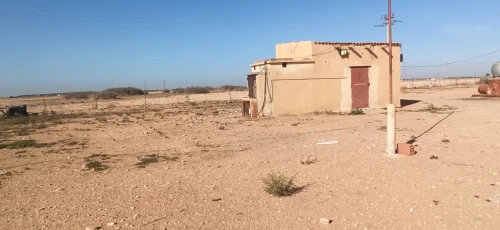 Vente Terrain Agricole Djelfa Ain oussara
