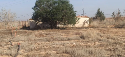 Vente Terrain Agricole Djelfa Ain oussara