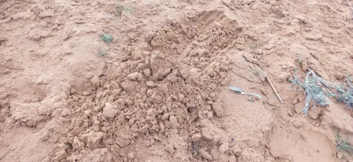 Vente Terrain Agricole Djelfa Ain oussara