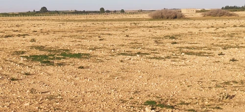 Vente Terrain Agricole Djelfa Ain oussara