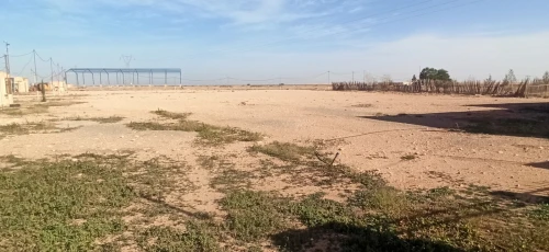 Vente Terrain Agricole Djelfa Ain oussara