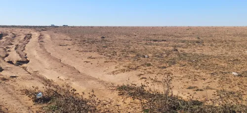 Vente Terrain Agricole Djelfa Ain oussara
