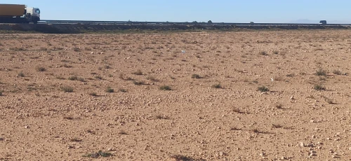Vente Terrain Agricole Djelfa Ain oussara