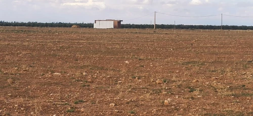 Vente Terrain Agricole Djelfa Ain oussara