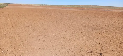 Vente Terrain Agricole Djelfa Birine