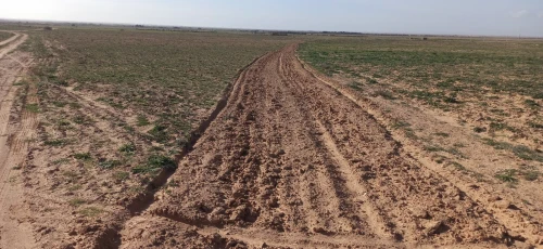 Vente Terrain Agricole Djelfa Ain oussara