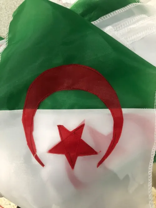 Les drapeaux nationaux