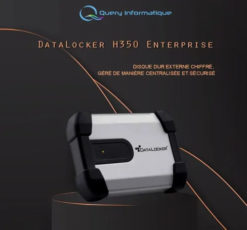 Disque dur Externe Flash Disk sécurisé 128GB/500GB/1TB/2TB/20TB (diskashur Datalocker Kingston)