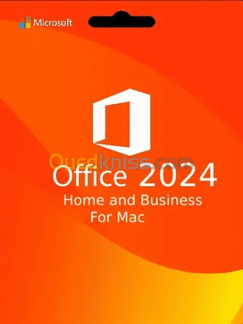 office 2024 pro plus 