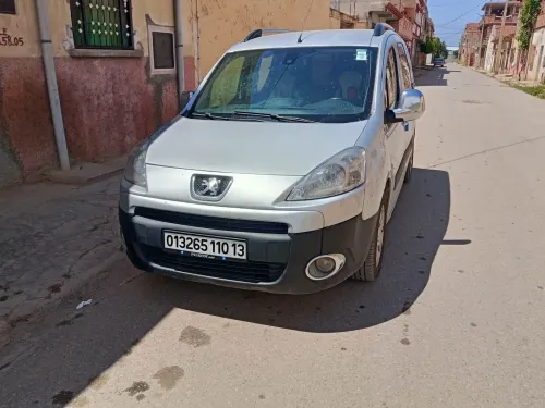Peugeot Partner 2010 Tepee