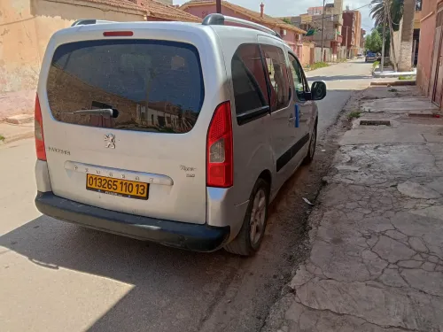Peugeot Partner 2010 Tepee