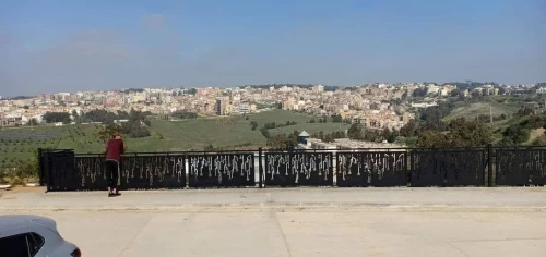 Garde de corps rampes d'escaliers cloture métallique 