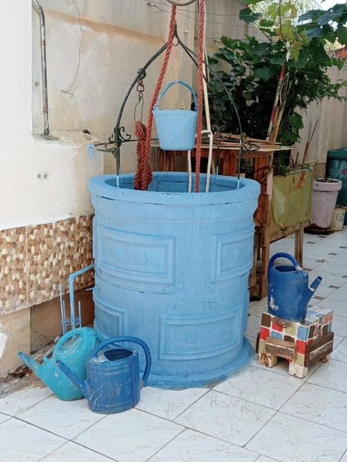 Vente Villa Blida Blida