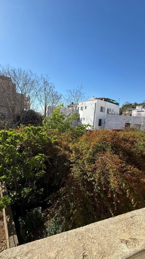 Vente Villa Alger El biar