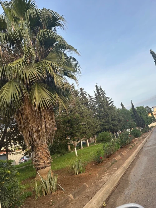 Location Villa Alger Staoueli
