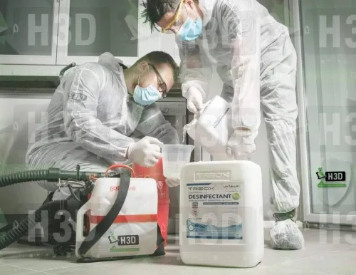 H3D DESINFECTION 